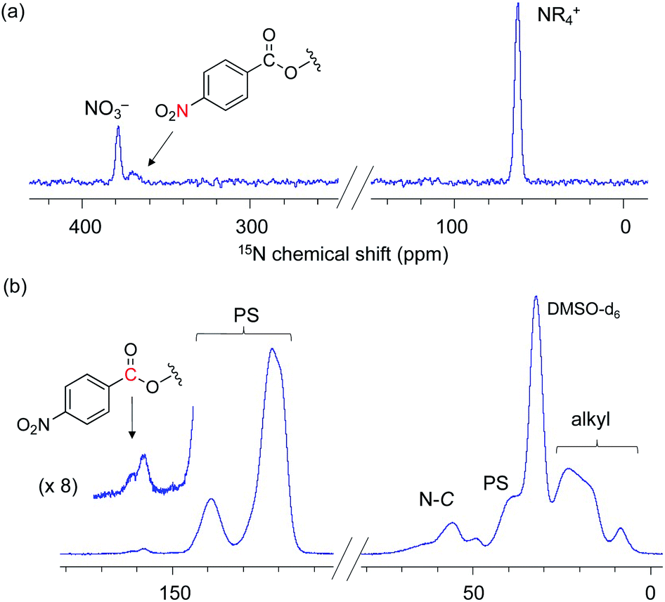 DNP NMR spectroscopy enabled direct characterization of polystyrene ...