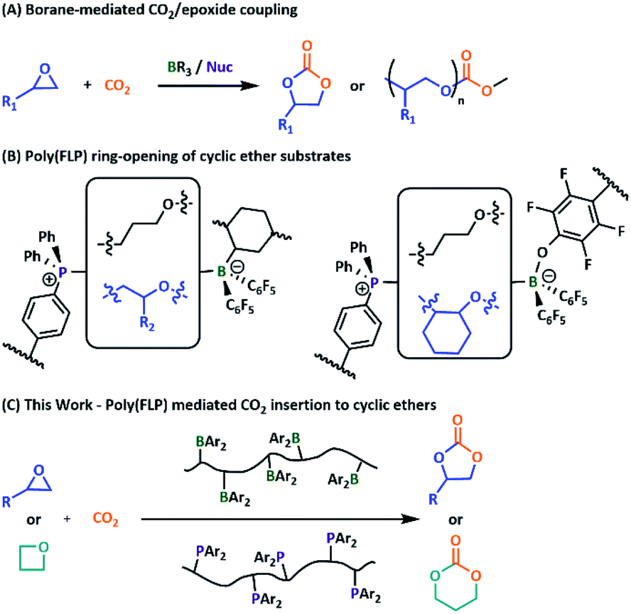 Polymeric Frustrated Lewis Pairs In CO 2 /cyclic Ether Coupling ...