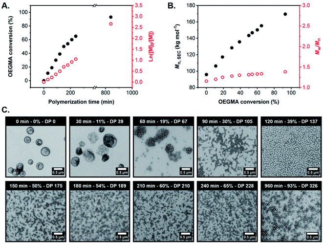 Polymerization-induced Self-assembly And Disassembly During The ...