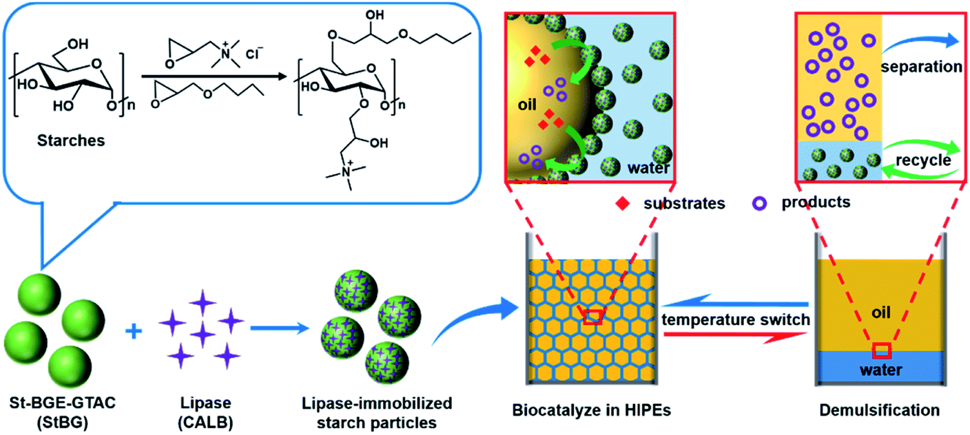 Temperature-responsive Pickering high internal phase emulsions for ...