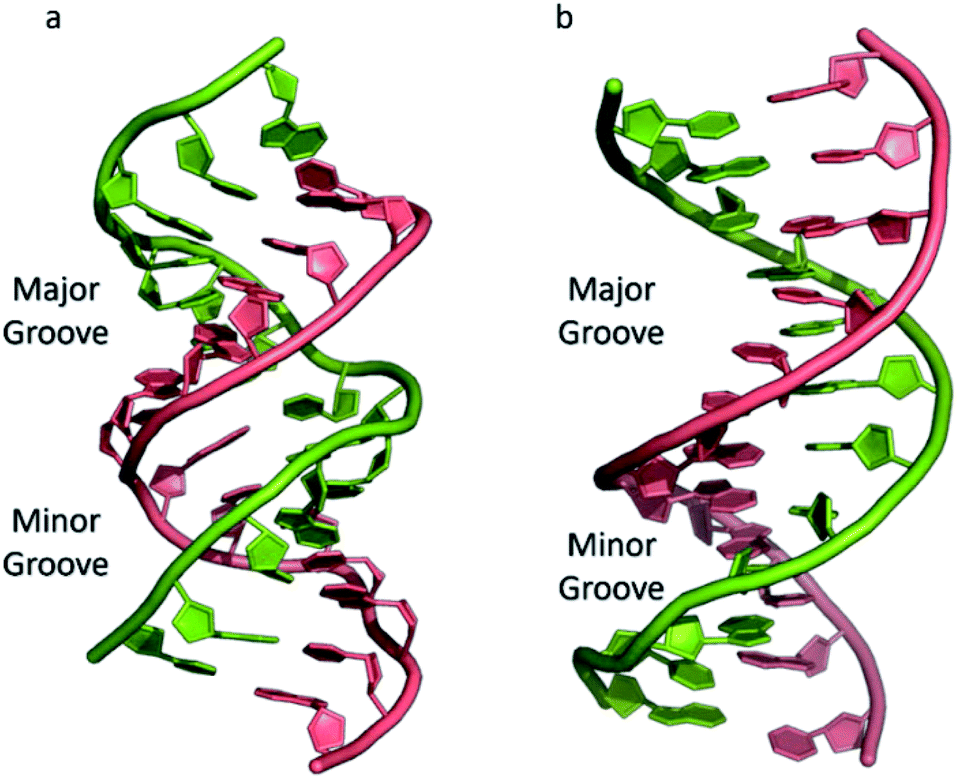 Three's A Crowd – Stabilisation, Structure, And Applications Of DNA ...