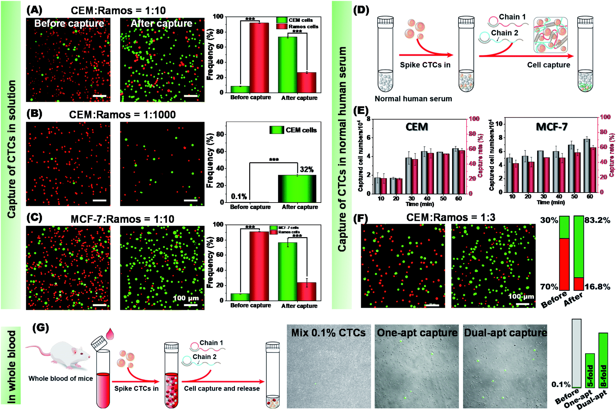 A CRISPR/Cas12a-responsive Dual-aptamer DNA Network For Specific ...