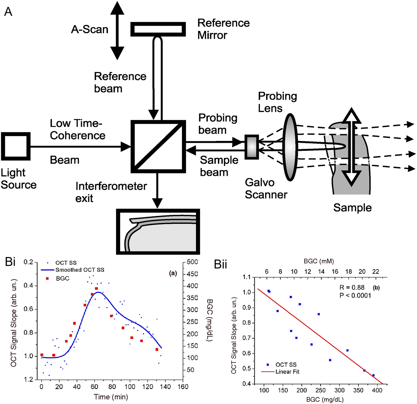 Recent advances in optical sensors for continuous glucose monitoring ...