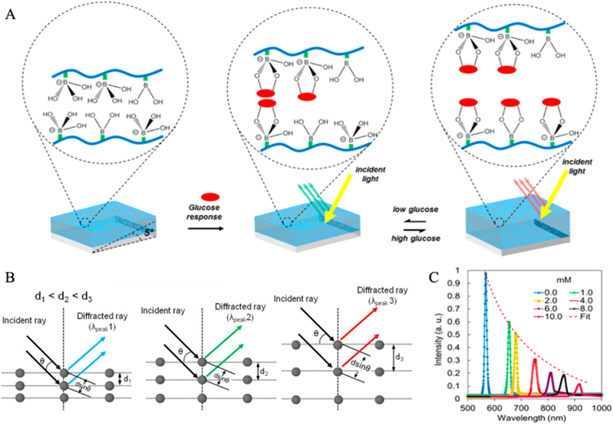 Recent advances in optical sensors for continuous glucose monitoring ...