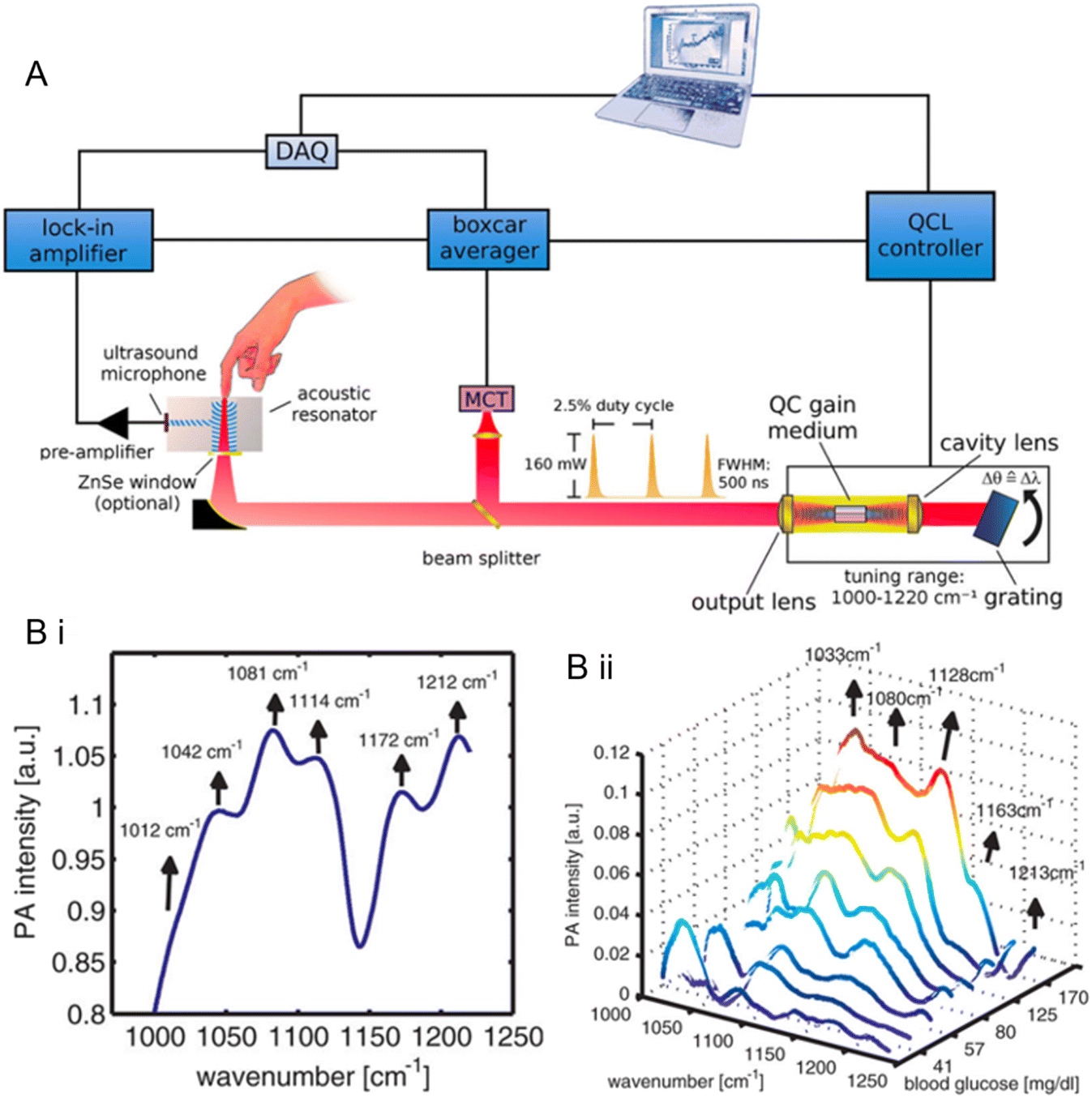 Recent advances in optical sensors for continuous glucose monitoring