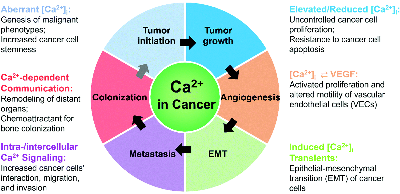 towards-an-integrative-understanding-of-cancer-mechanobiology-calcium