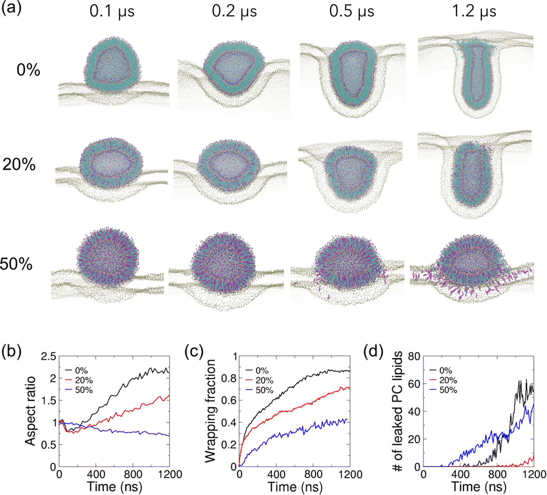 Modulation of lipid vesicle–membrane interactions by cholesterol - Soft ...