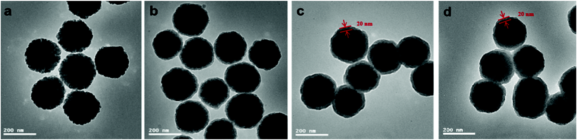 Multi-stimuli Responsive Molecularly Imprinted Nanoparticles With ...