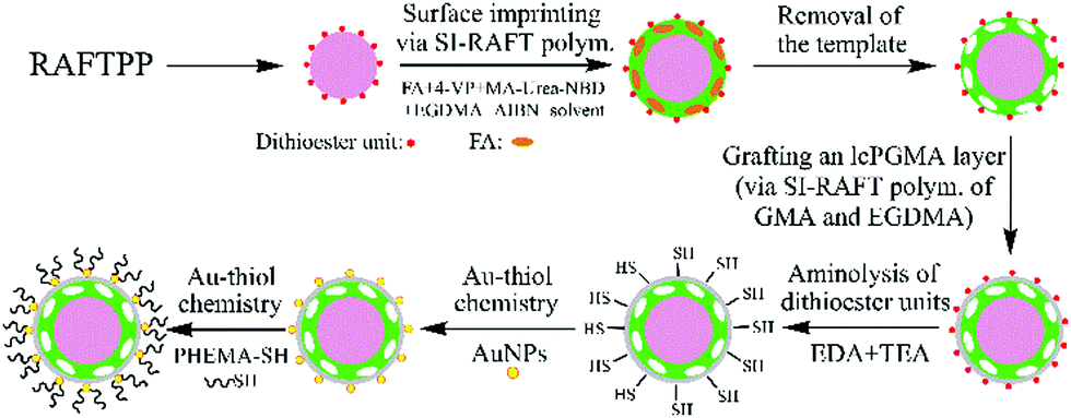 Biological Sample-compatible Au Nanoparticle-containing Fluorescent ...