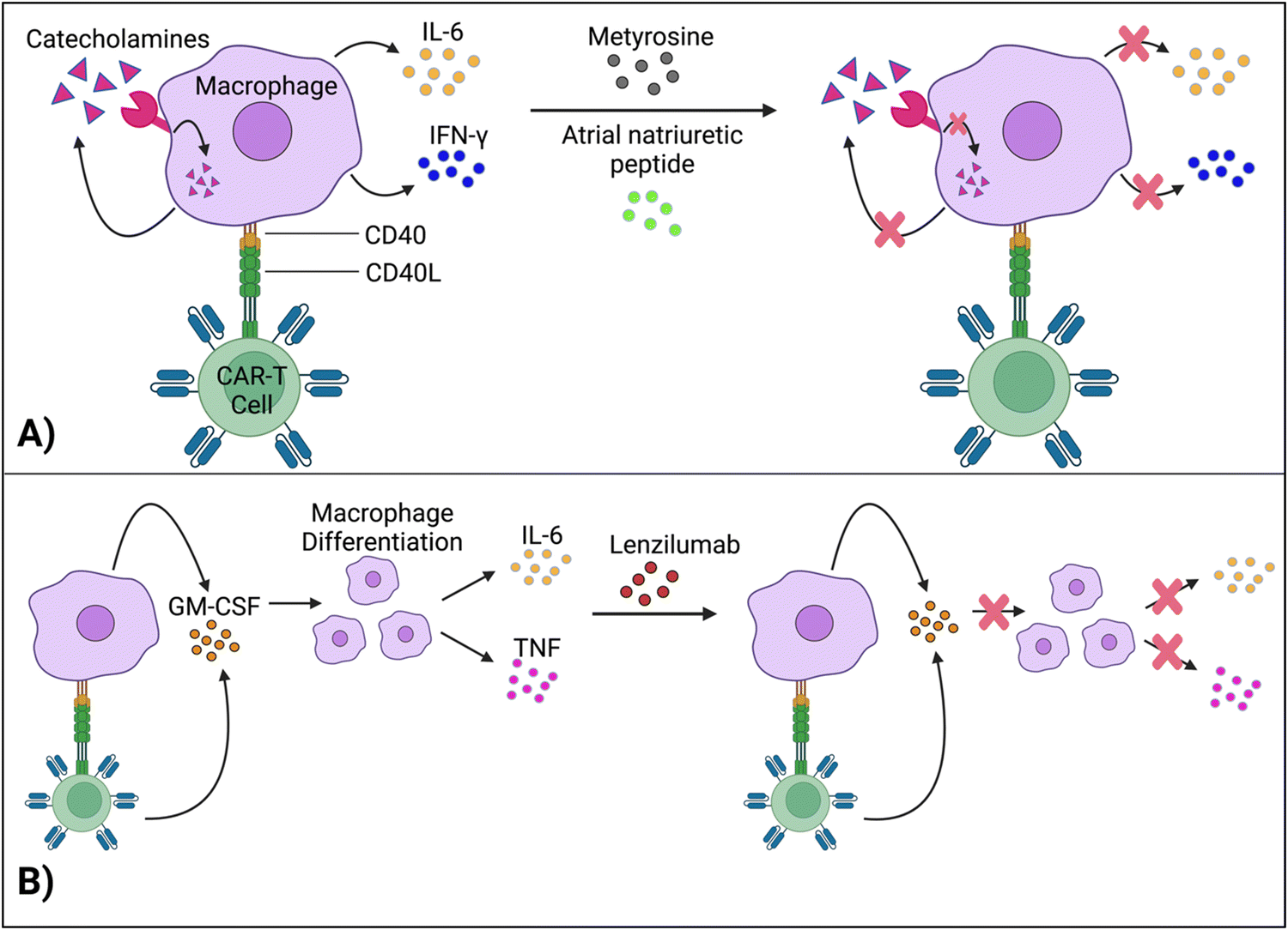 Emerging approaches for preventing cytokine release syndrome in CAR-T ...