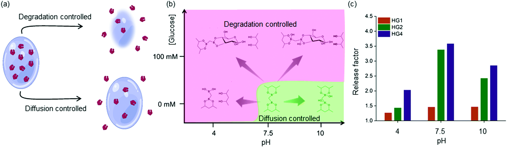 Repurposing pinacol esters of boronic acids for tuning viscoelastic ...