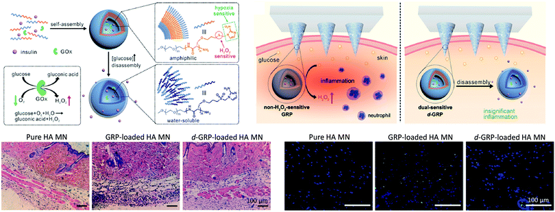 Thioether-based ROS Responsive Polymers For Biomedical Applications ...