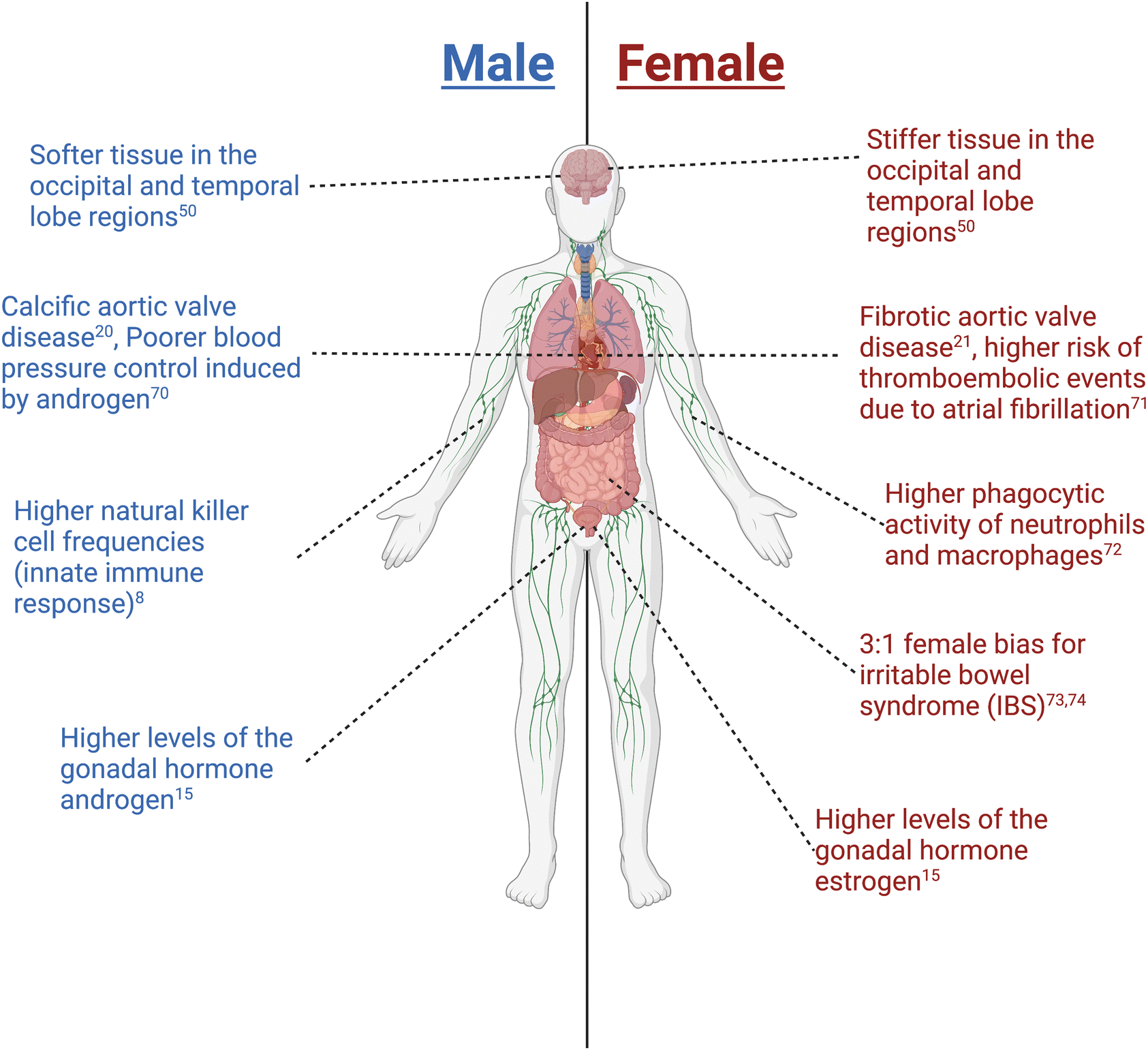 Chemical And Molecular Tools To Probe Biological Sex Differences At Multiple Length Scales