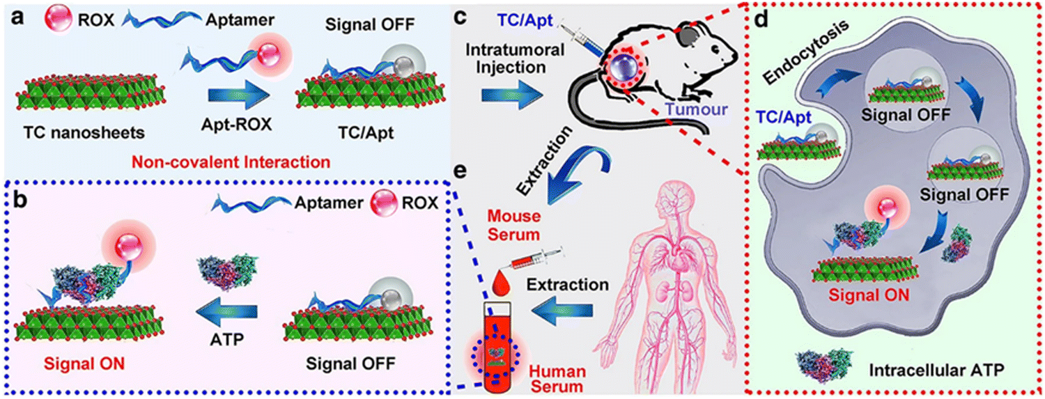 Recent advances in nanotechnology mediated mitochondria-targeted ...