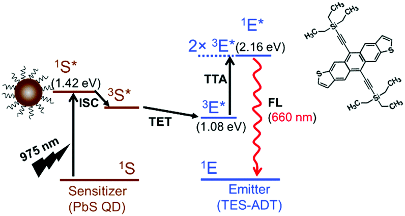 Near-infrared-to-visible Upconversion From 980 Nm Excitation Band By ...