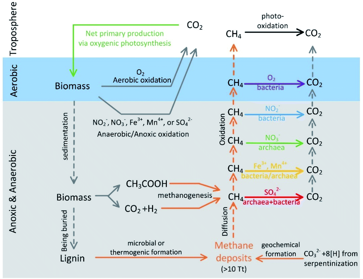 Role And Regulation Of Anaerobic Methane Oxidation, 41% OFF