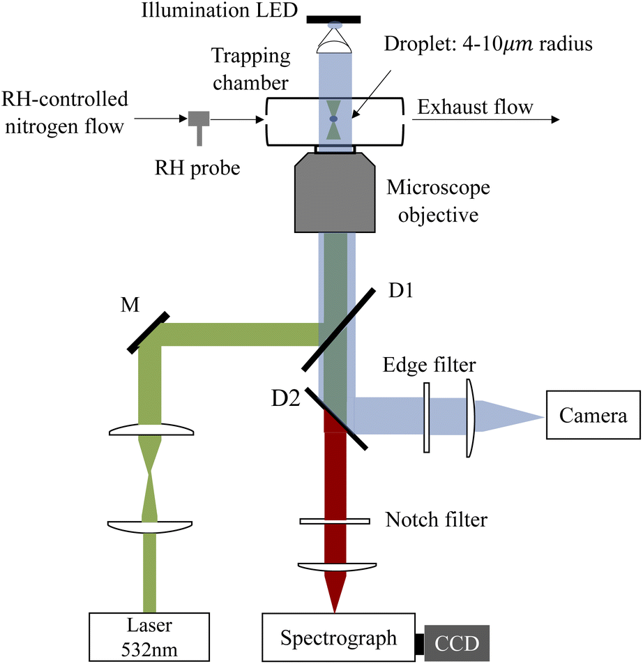 Membrane Model Systems Used In Optical Tweezers Studies A Microscopic