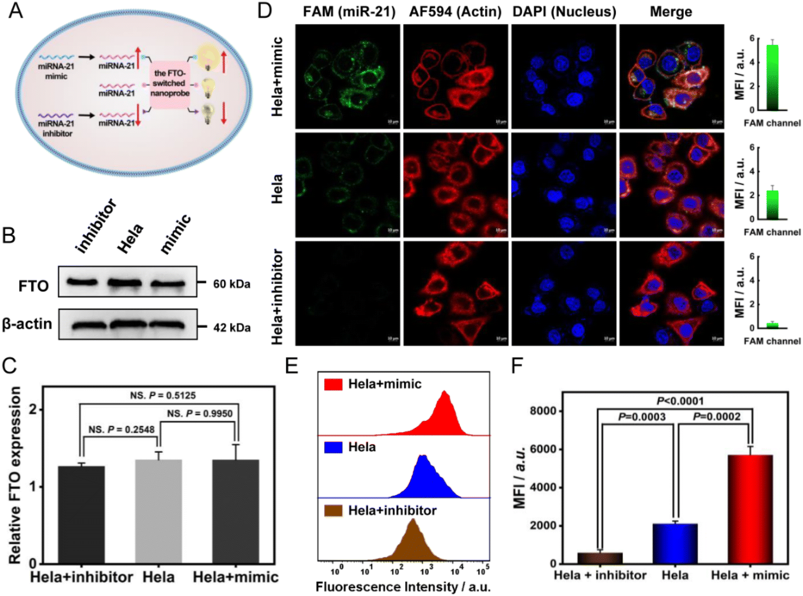 High-fidelity imaging of intracellular microRNA via a