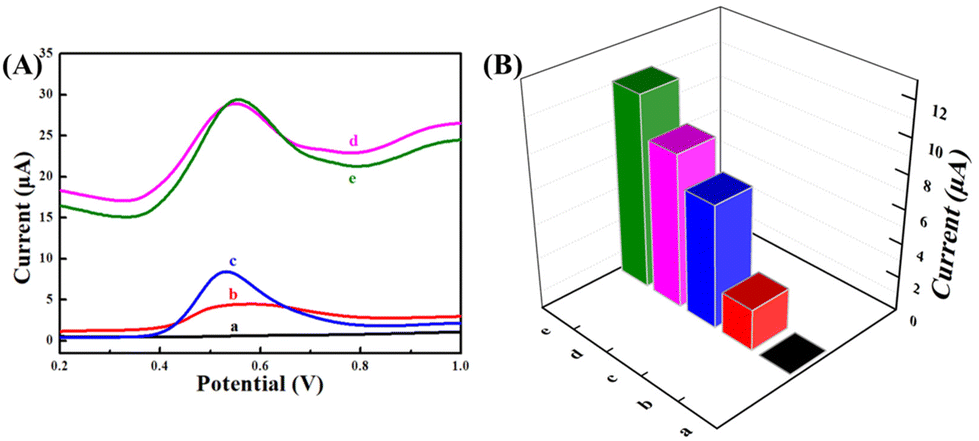 A novel electrochemical sensor based on gold nanobipyramids A novel electrochemical sensor based on gold nanobipyramids
