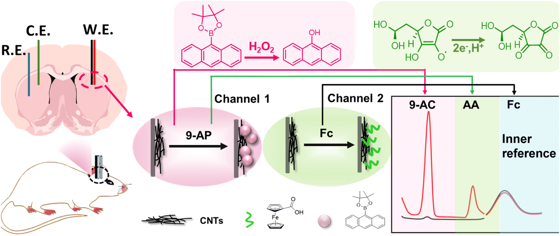 An electrochemical microsensor based on a specific recognition 