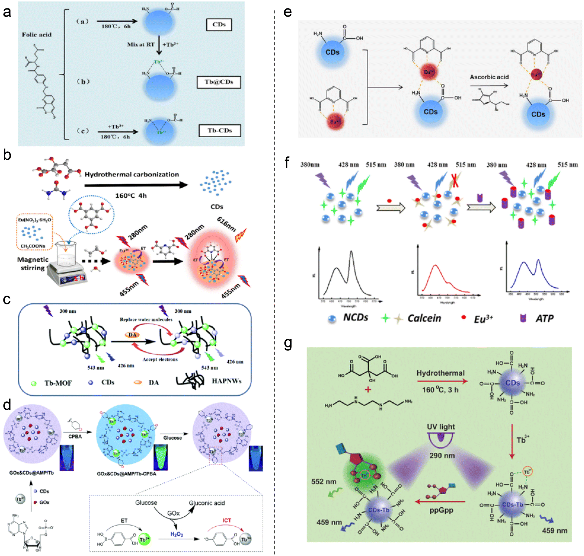 Preparation and application of carbon quantum dot Preparation and application of carbon quantum dot