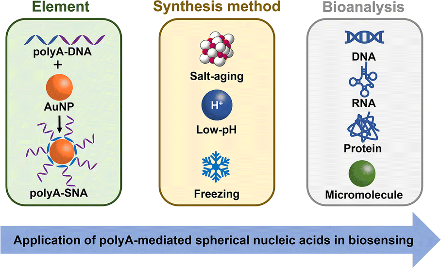 Functionally modified metal–organic frameworks for the