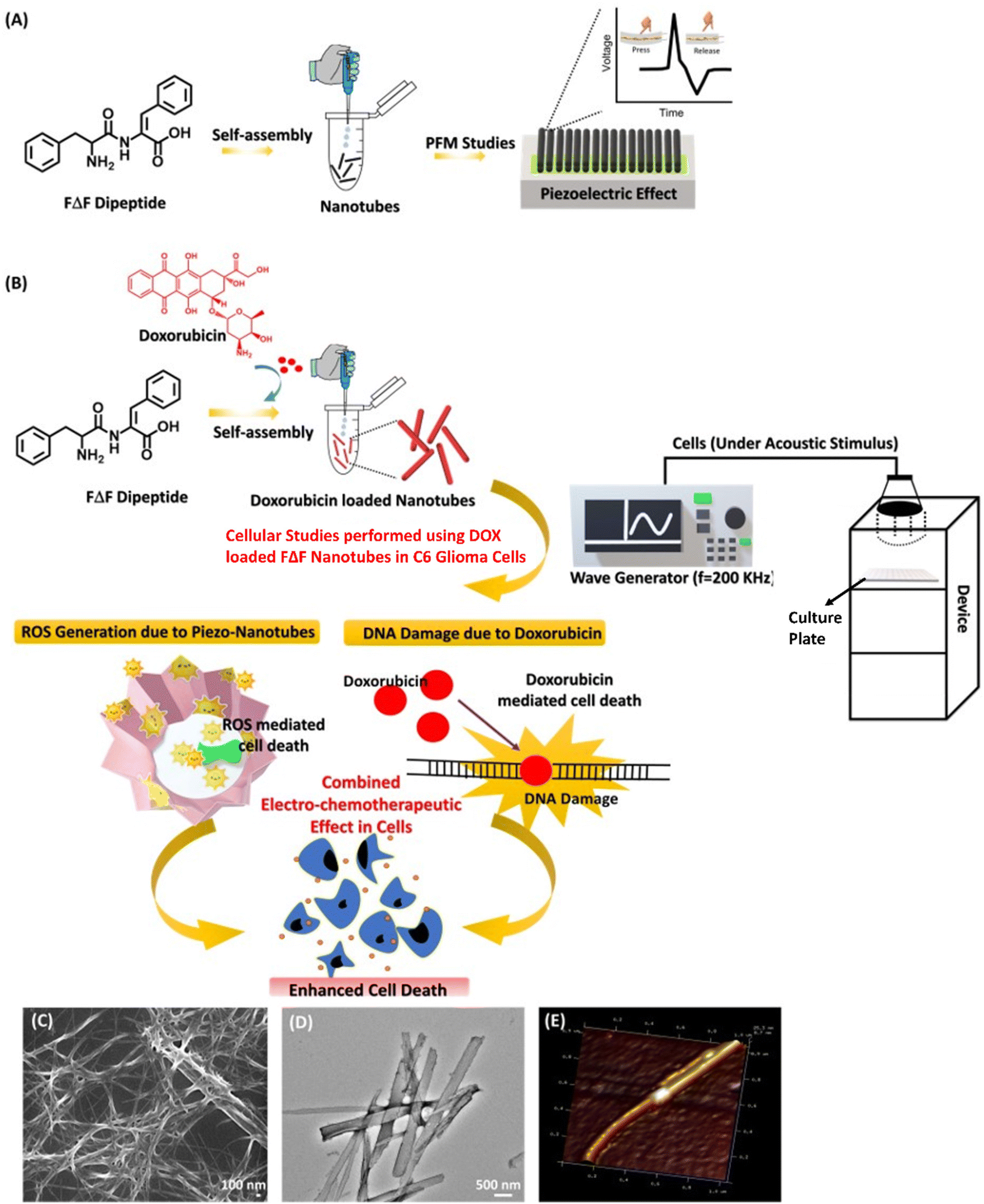 Bio-piezoelectric phenylalanine-αβ-dehydrophenylalanine nanotubes 