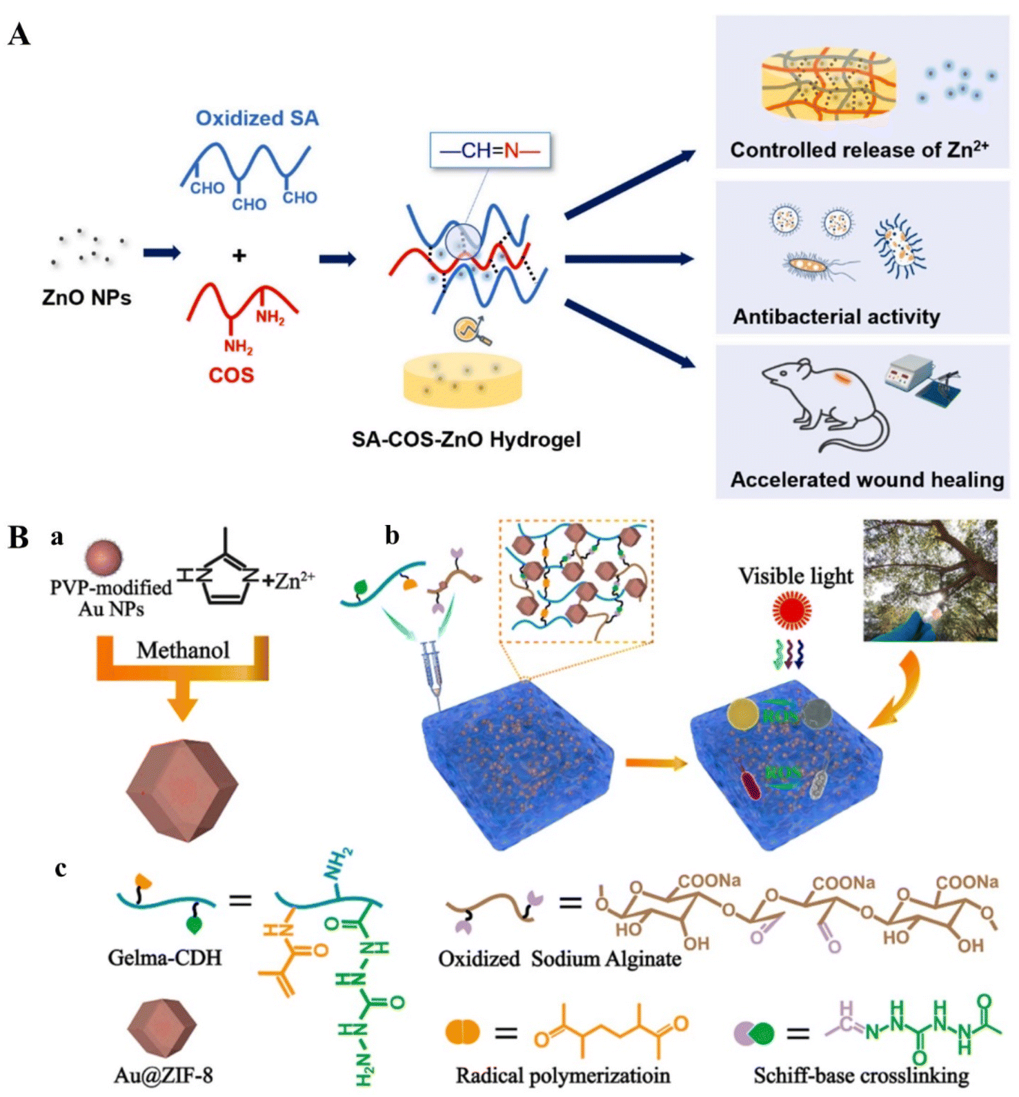 Wound Dressing: From Nanomaterials to Diagnostic Dressings and Healing  Evaluations