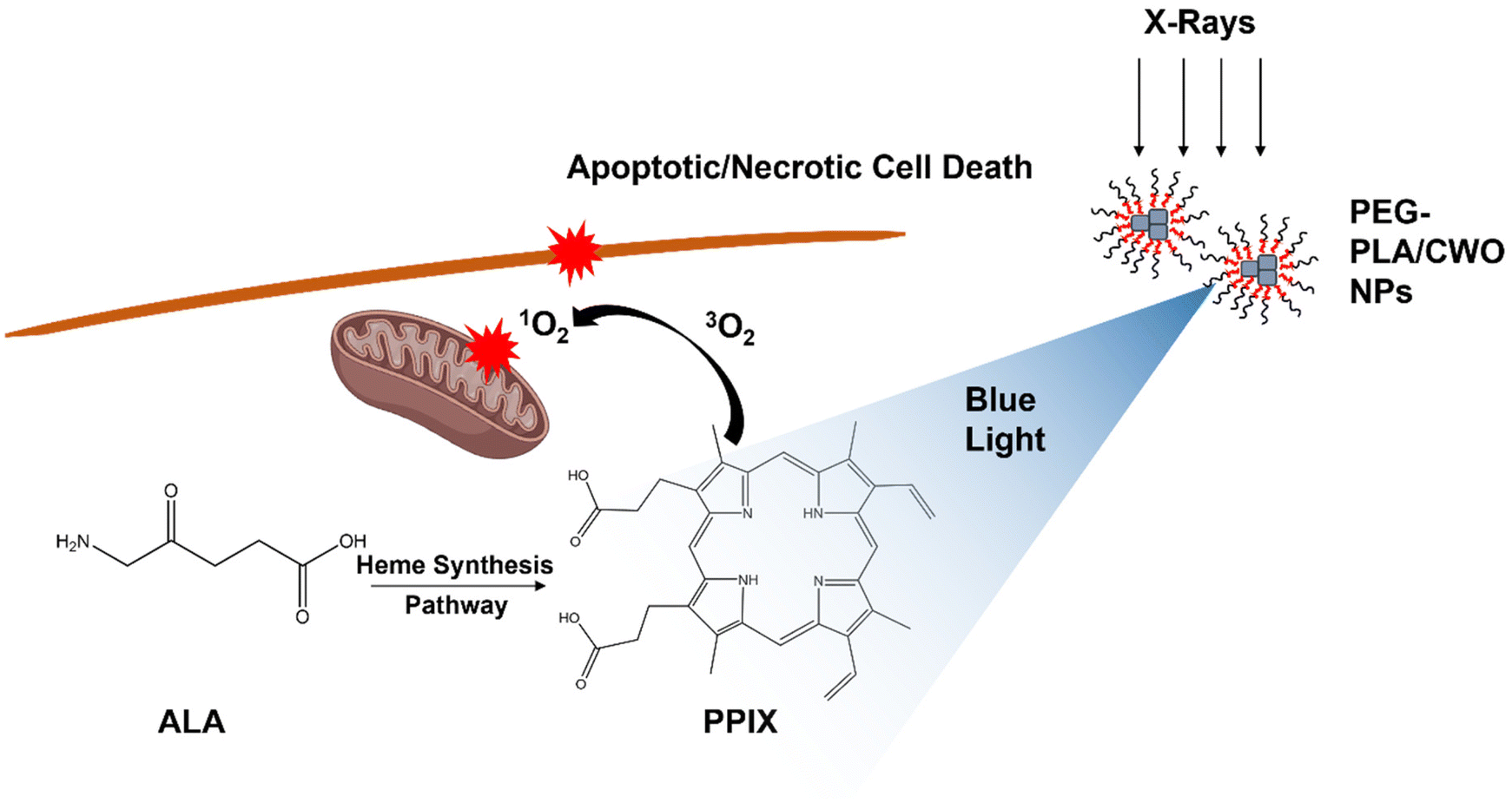 Radiation-induced photodynamic therapy using calcium tungstate