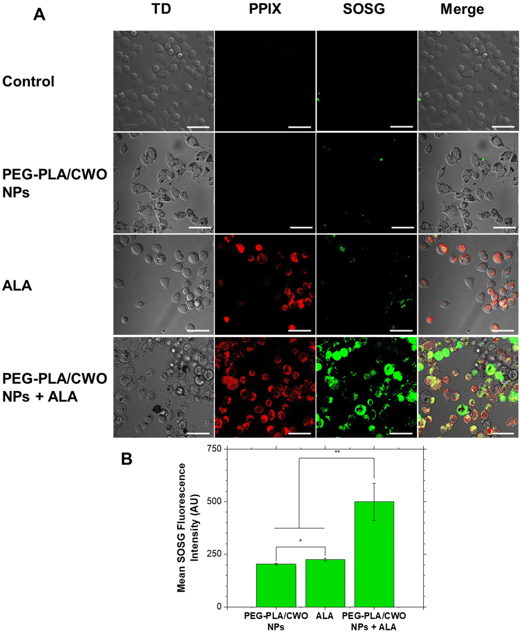 Radiation-induced photodynamic therapy using calcium tungstate