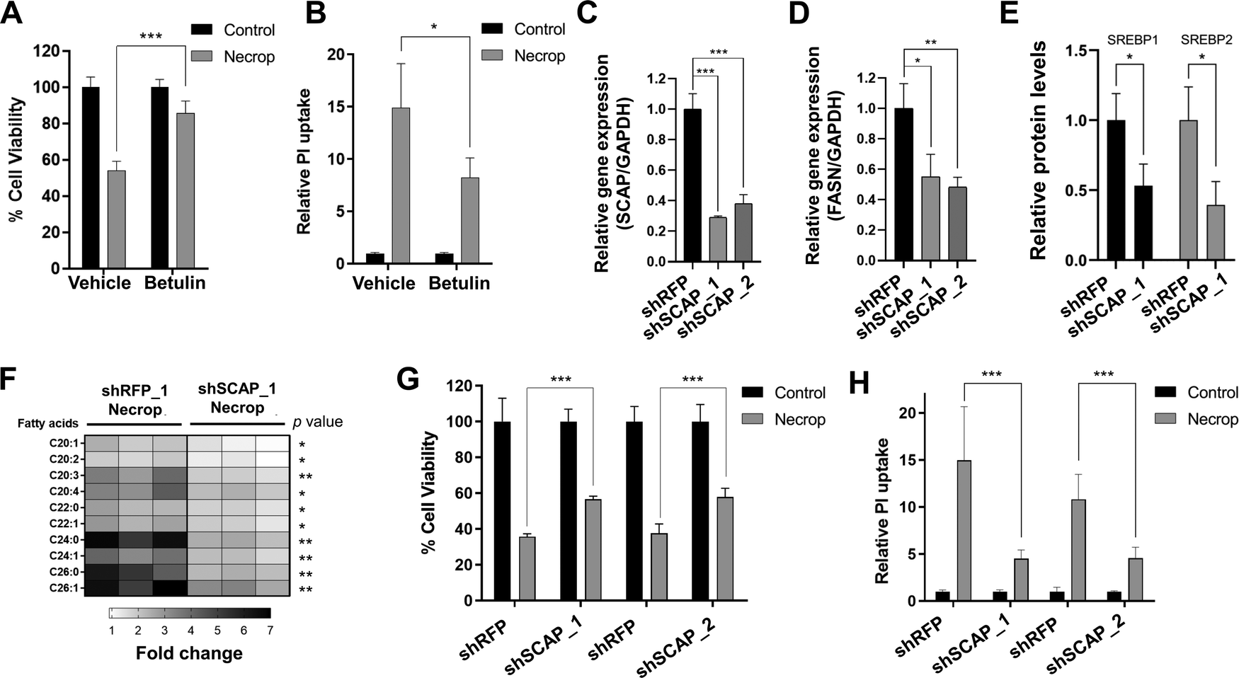 SREBP activation contributes to fatty acid accumulations in SREBP activation contributes to fatty acid accumulations in