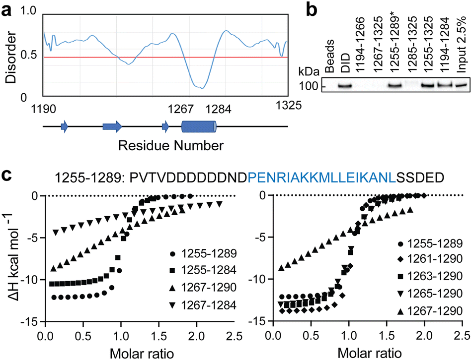 a) 1 H-15 N HSQC spectra of 15 N-SUMO bound to parent SIM (black) or