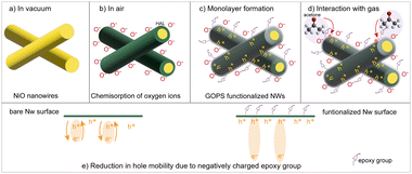 image file: d2cc06530d-f3.tif