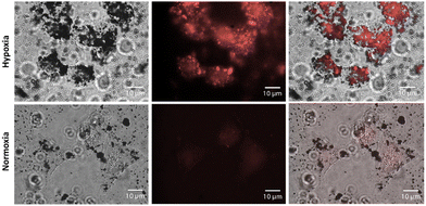 image file: d3cc01110k-f3.tif