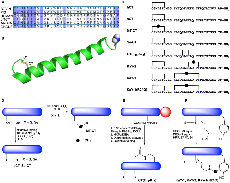 Enhancing the gastrointestinal stability of salmon calcitonin through