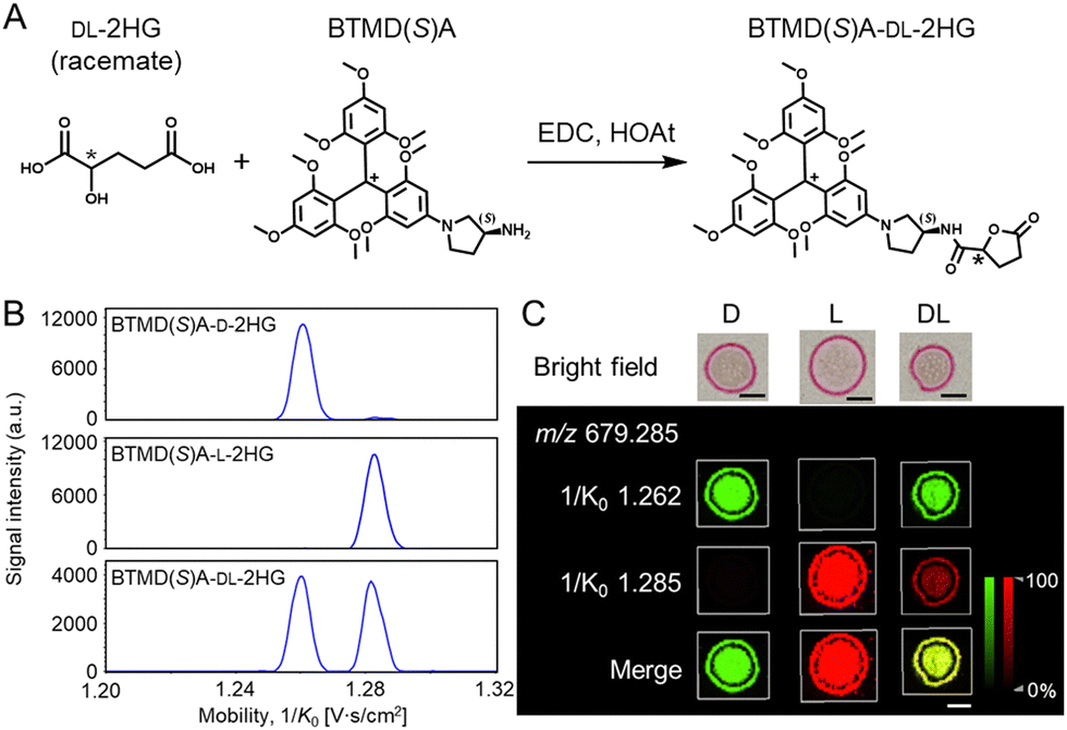 その他 RsC Charged chiral derivatization for enantioselective imaging