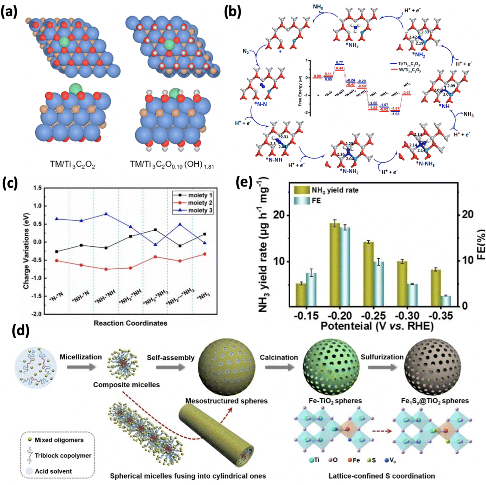 Electrochemical nitrogen fixation on single metal atom