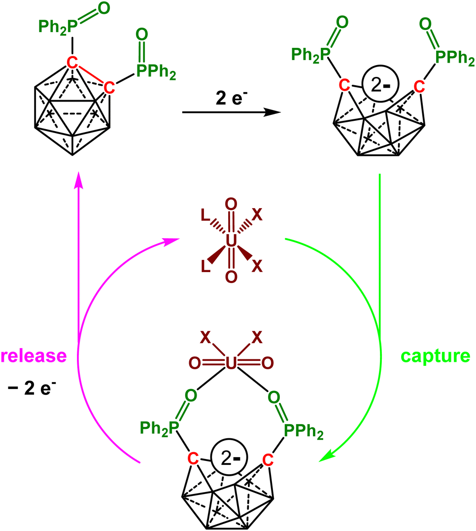 Redox-active carborane clusters in bond activation chemistry and ligand  design - Chemical Communications (RSC Publishing) DOI:10.1039/D3CC03011C