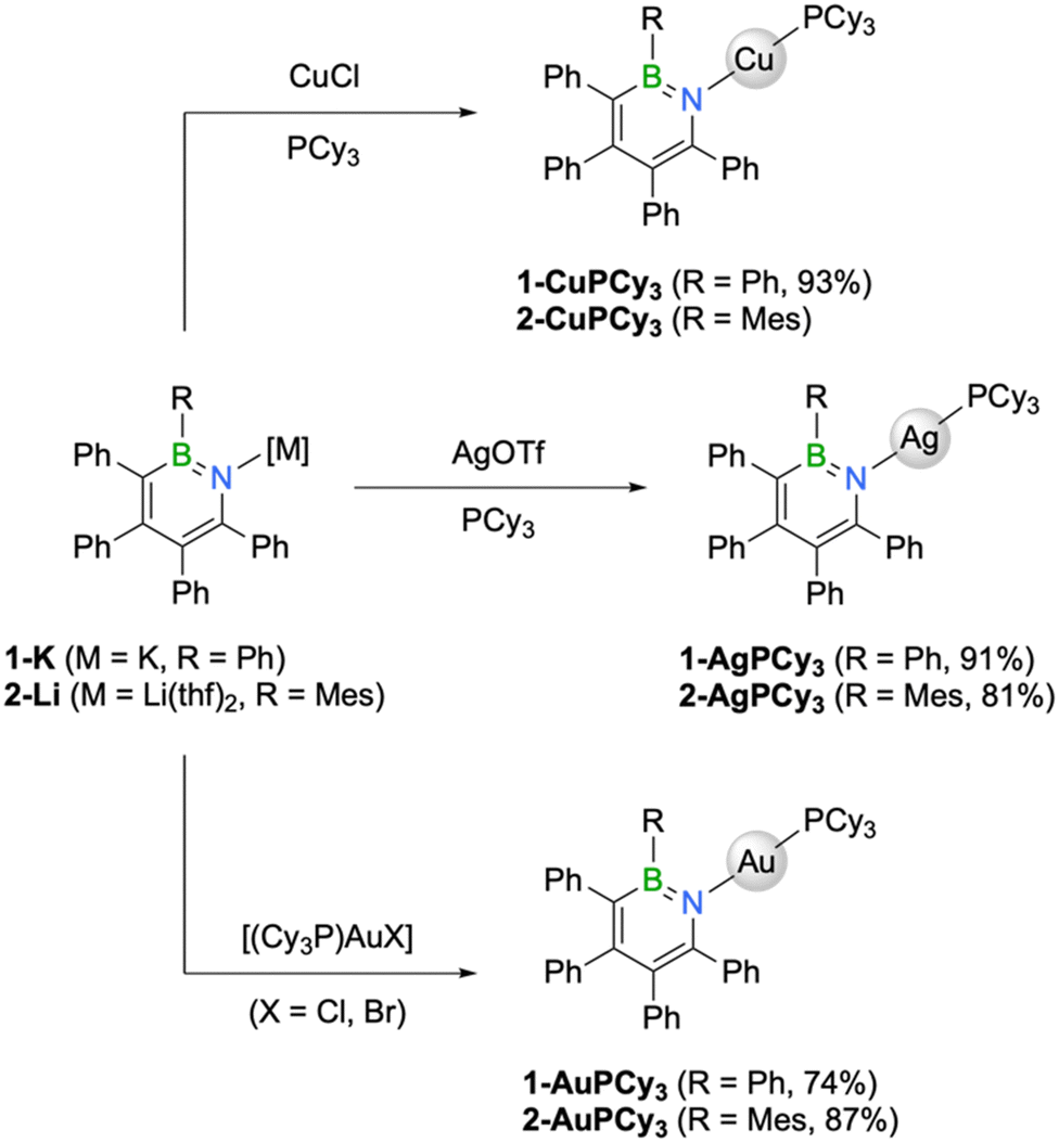 Coinage metal complexes of BN analogues of m -terphenyl Coinage metal complexes of BN analogues of m -terphenyl