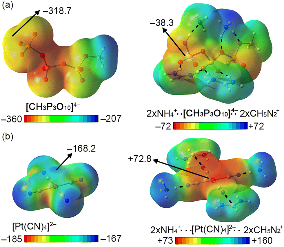 Enzymatic reversion of Pt( ii ) nucleophilicity through charge dumping: the  case of Pt(CN) 4 2− - Chemical Communications (RSC Publishing)  DOI:10.1039/D3CC03816E