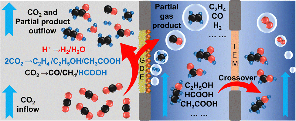 Accurate assessment of electrocatalytic carbon dioxide reduction