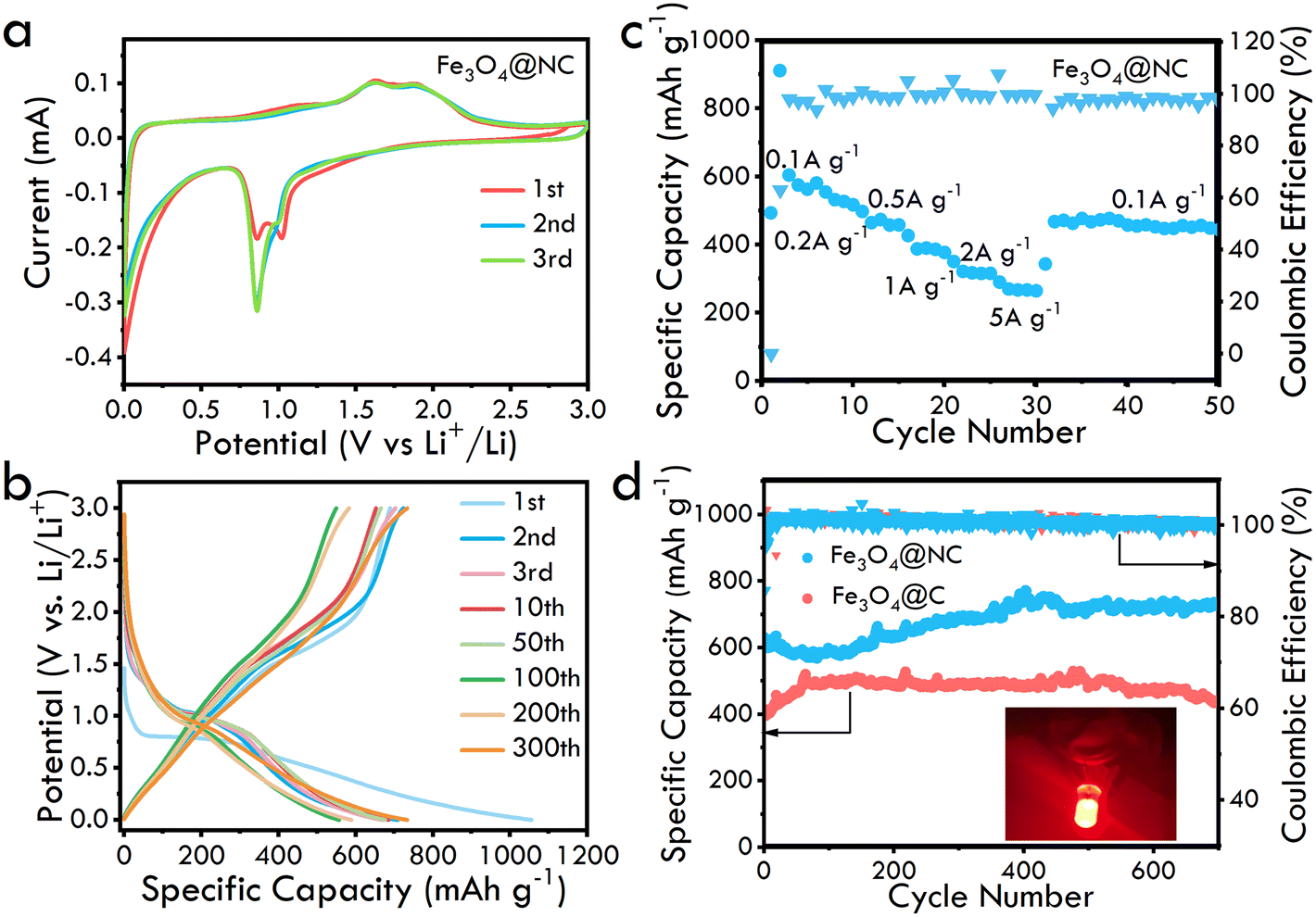 Carbon encapsulated hybrid Fe-based nanostructure with durable 