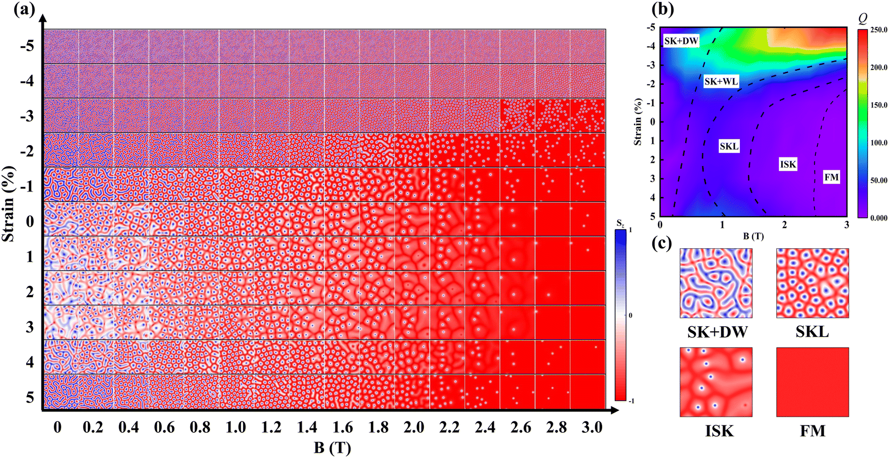 Topological phase transition and skyrmions in a Janus MnSbBiSe 2 