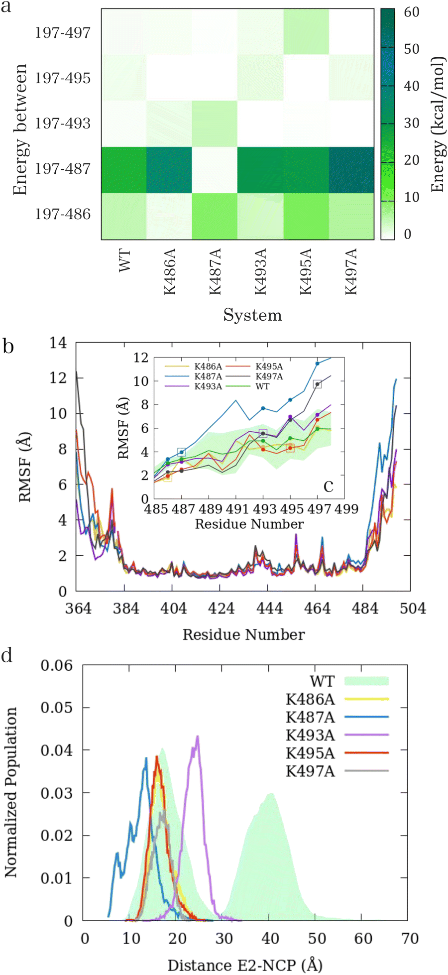 Histone tail electrostatics modulate E2–E3 enzyme dynamics