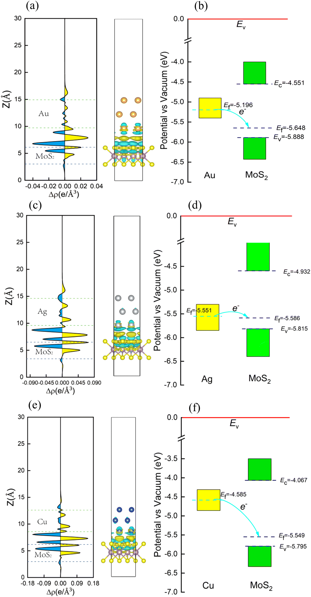 Interfacial contact barrier and charge carrier transport of MoS 2 