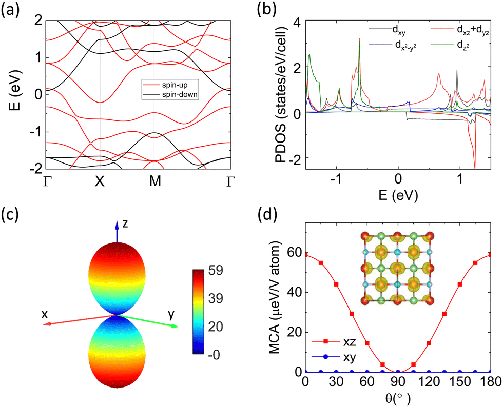 Two-dimensional XY ferromagnetism above room temperature in Janus 