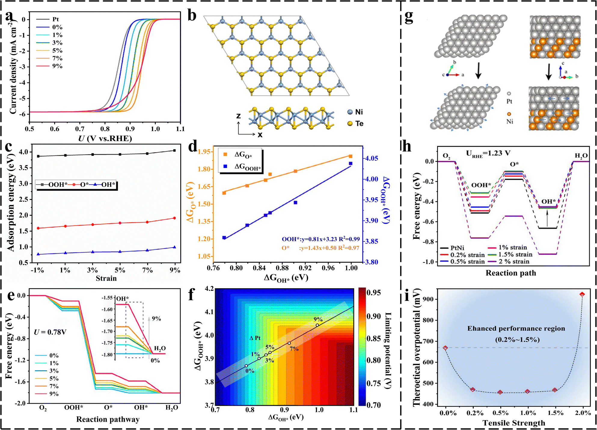 Atomic understanding of the strain-induced electrocatalysis from 