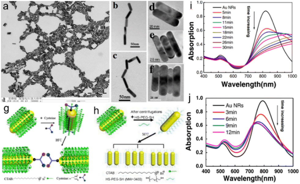 Ion-shaping of embedded gold hollow nanoshells into vertically