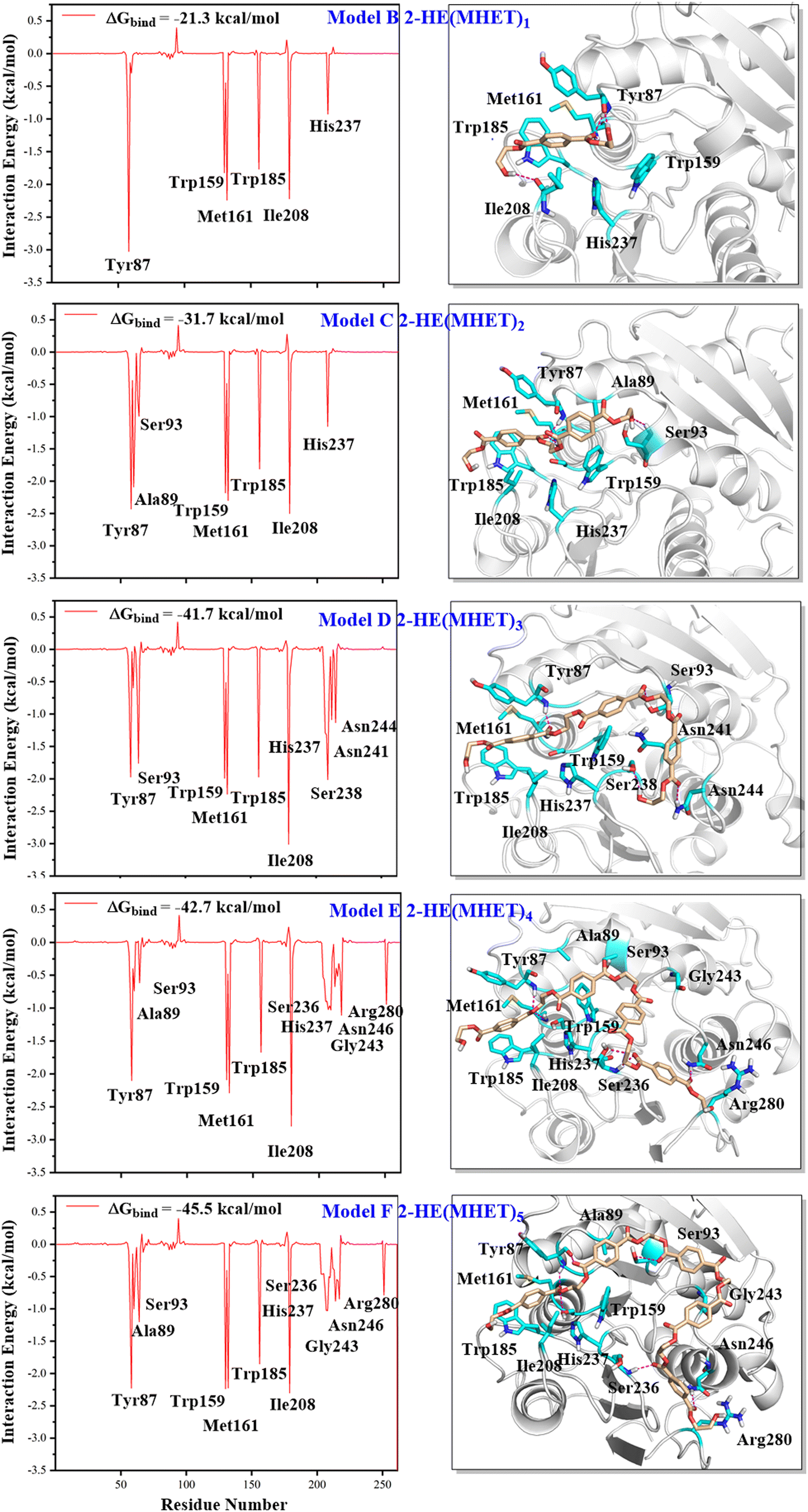 Atomistic insight into the binding mode and self-regulation Atomistic insight into the binding mode and self-regulation