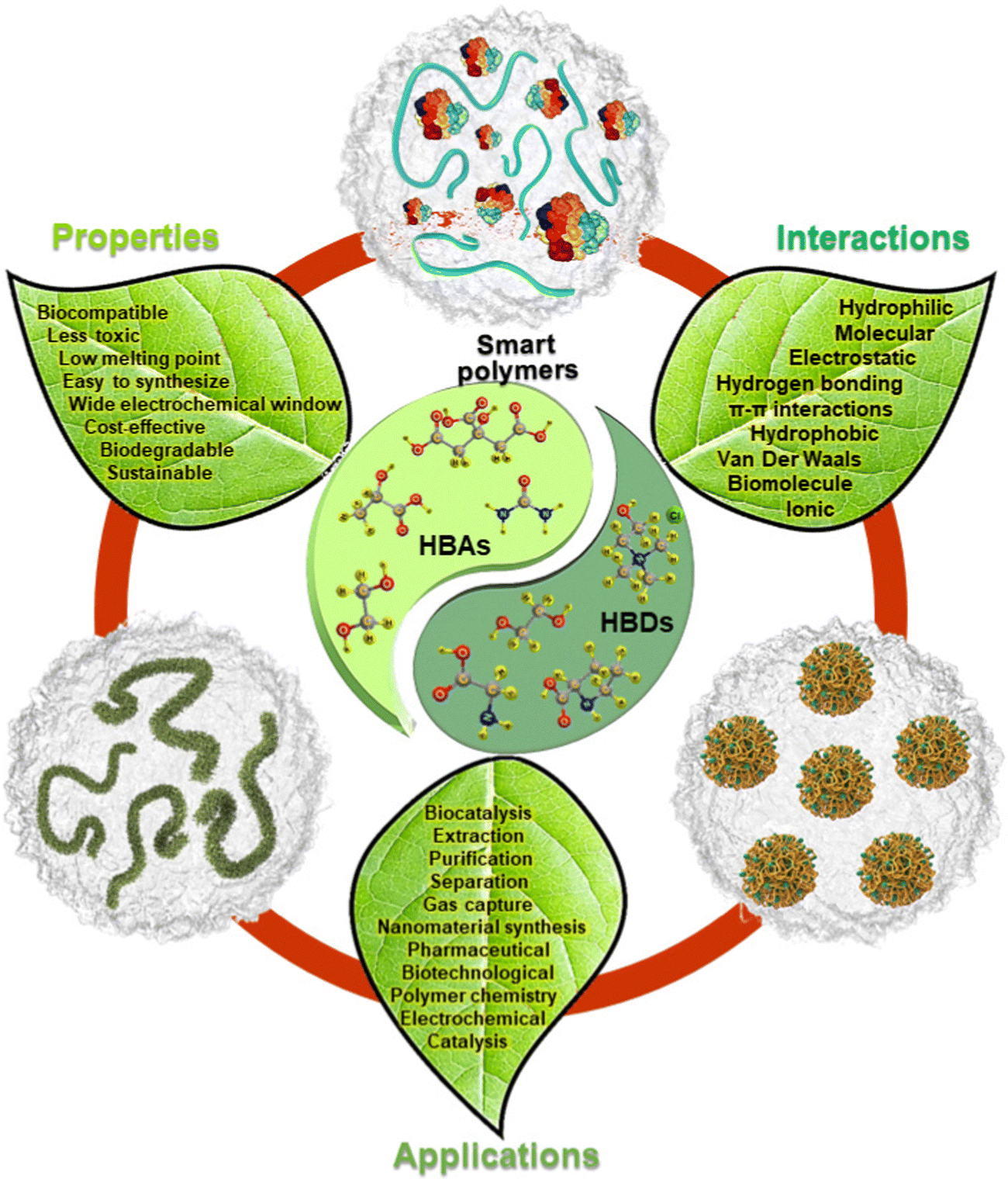 Deep eutectic solvents induced changes in the phase transition